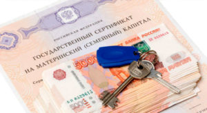 Какой дом можно купить на материнский капитал