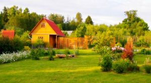 Как продать земельный участок без межевания